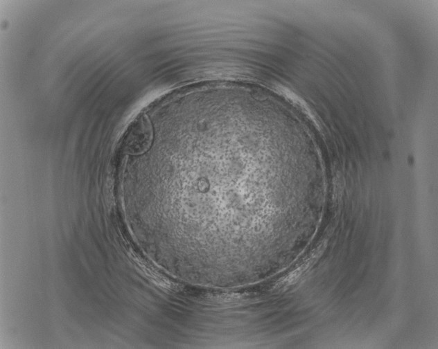 X0000073451019200608111345