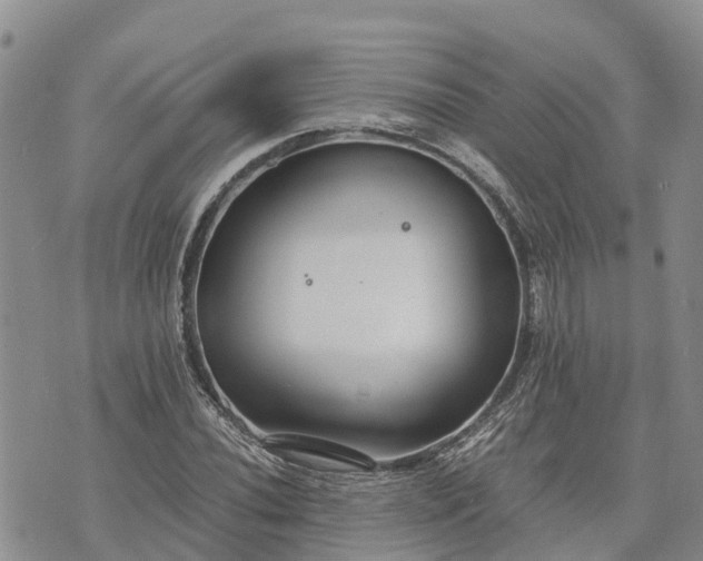 X0000073451020200608111345