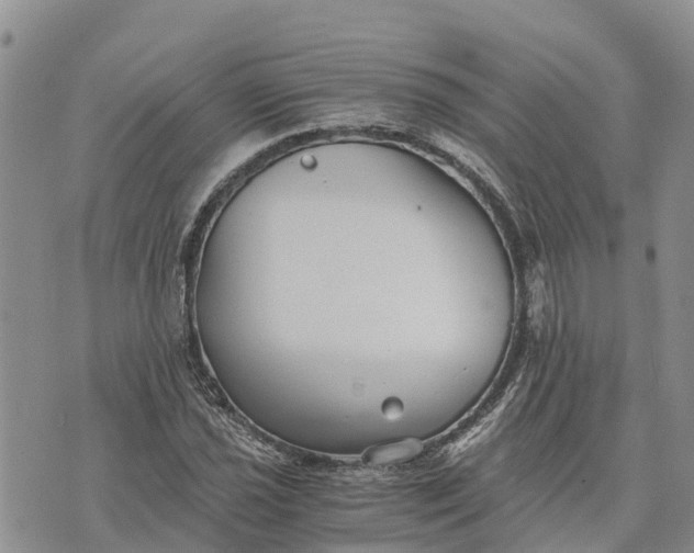 X0000073451021200608111345