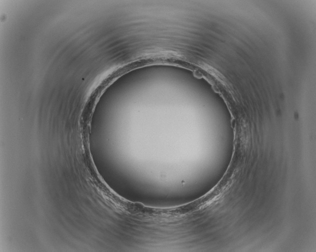 X0000073451022200608111345