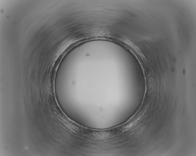 X0000073451023200608111345