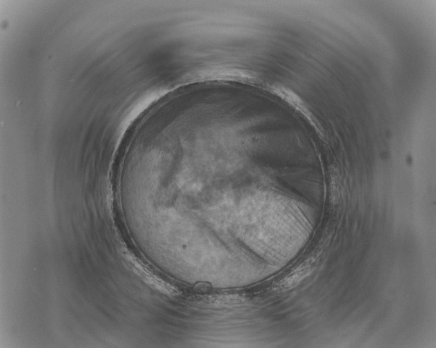 X0000073451024200608111345