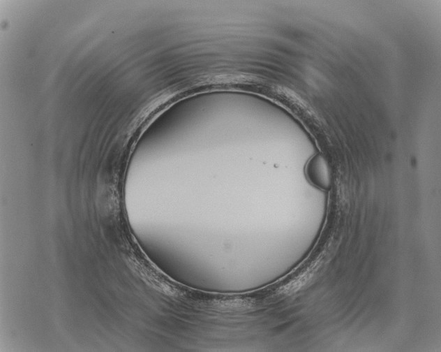 X0000073451025200608111345