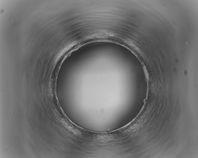 X0000073451026200608111345