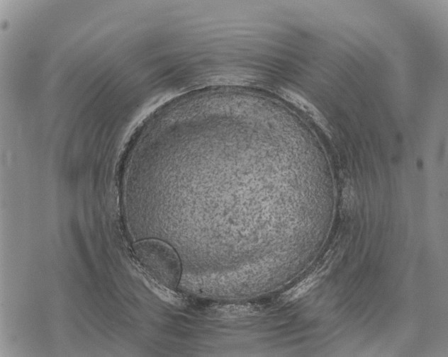 X0000073451027200608111345