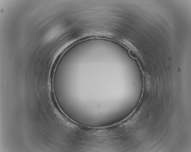 X0000073451028200608111345