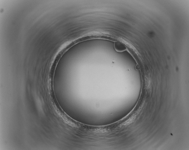 X0000073451029200608111345