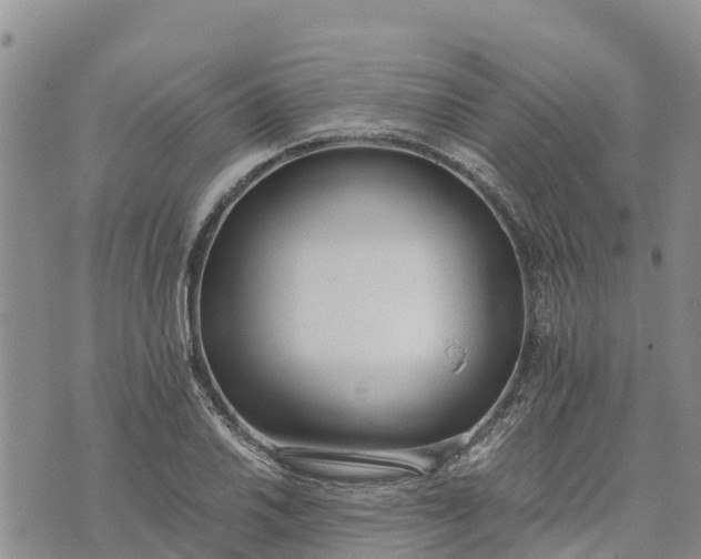 X0000073451030200608111345