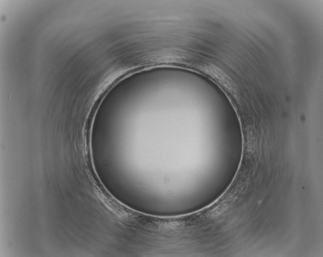 X0000073451031200608111345