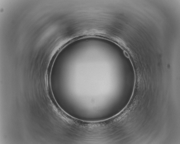 X0000073451032200608111345