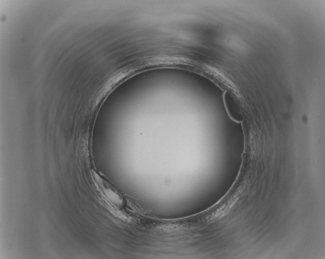 X0000073451033200608111345