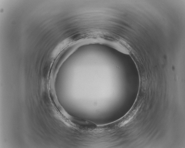 X0000073451034200608111345