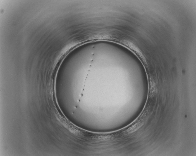 X0000073451035200608111345