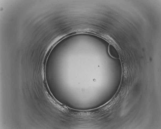 X0000073451036200608111345