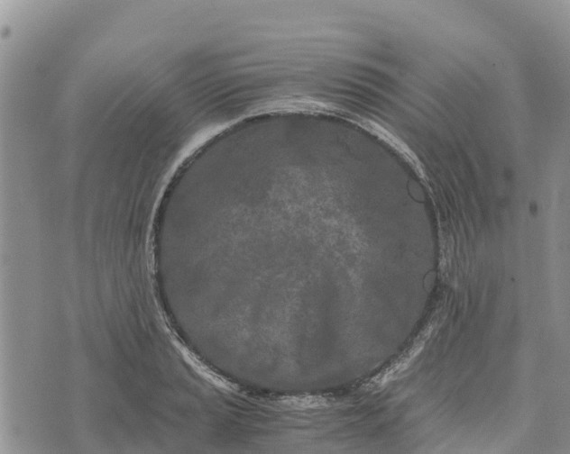 X0000073451037200608111345