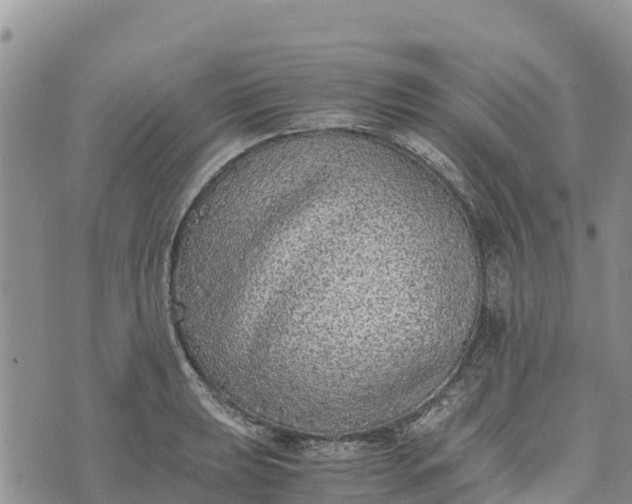 X0000073451039200608111345