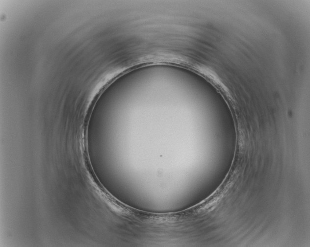 X0000073451040200608111345