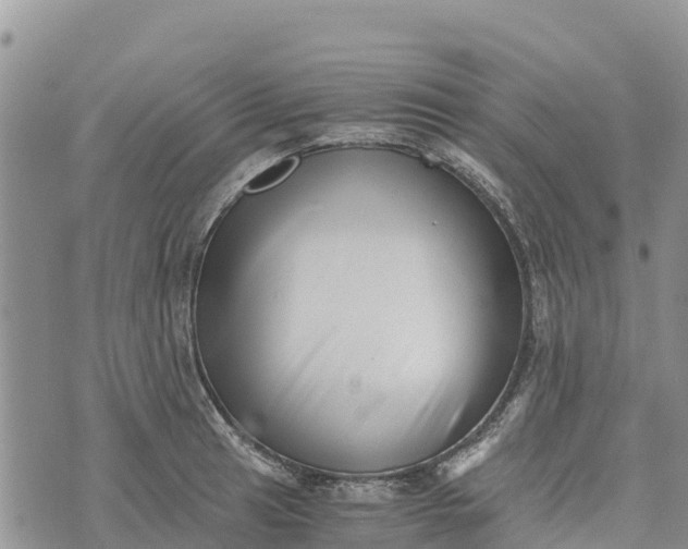 X0000073451041200608111345