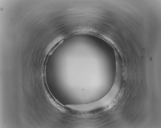 X0000073451042200608111345