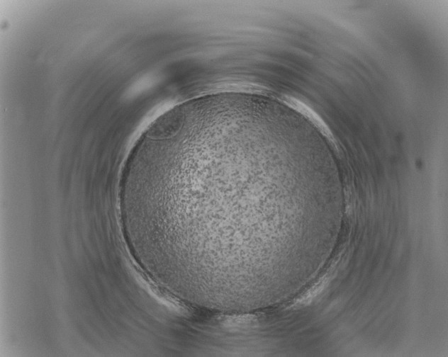 X0000073451043200608111345