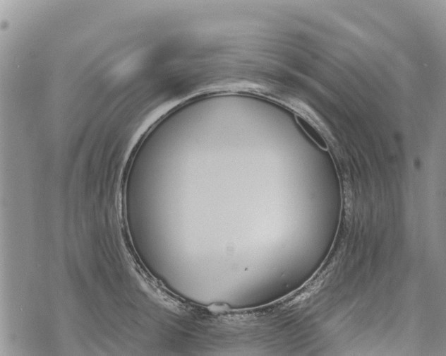 X0000073451044200608111345