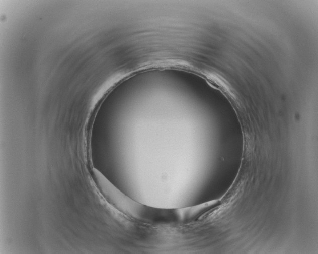 X0000073451046200608111345