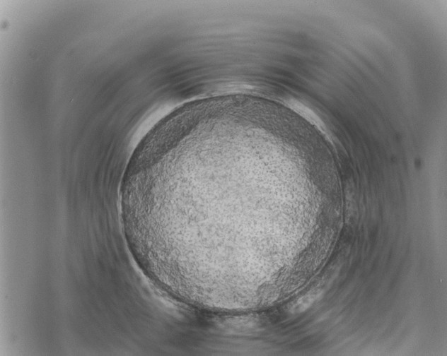 X0000073451047200608111345