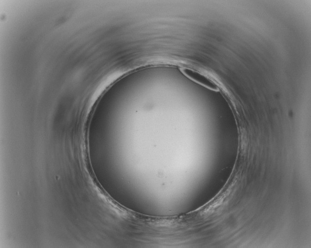 X0000073451048200608111345