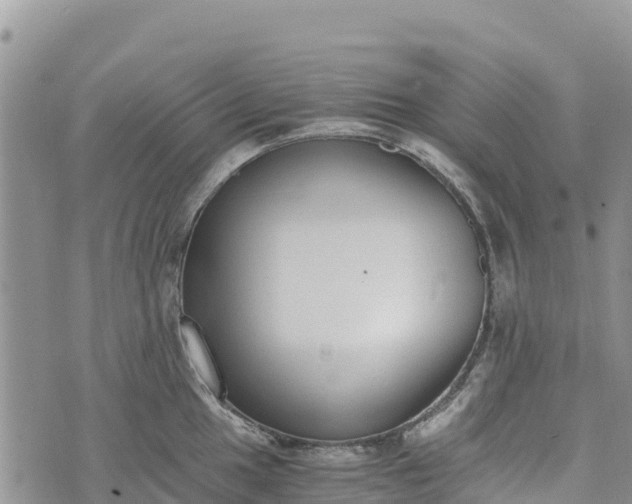 X0000073451049200608111345