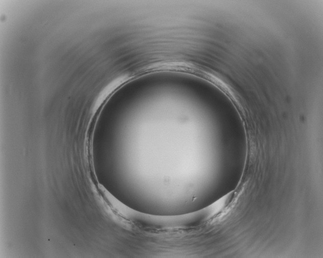 X0000073451050200608111345