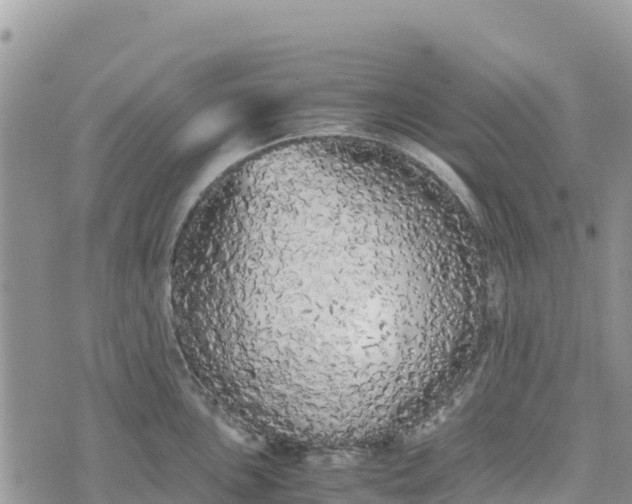 X0000073451051200608111345