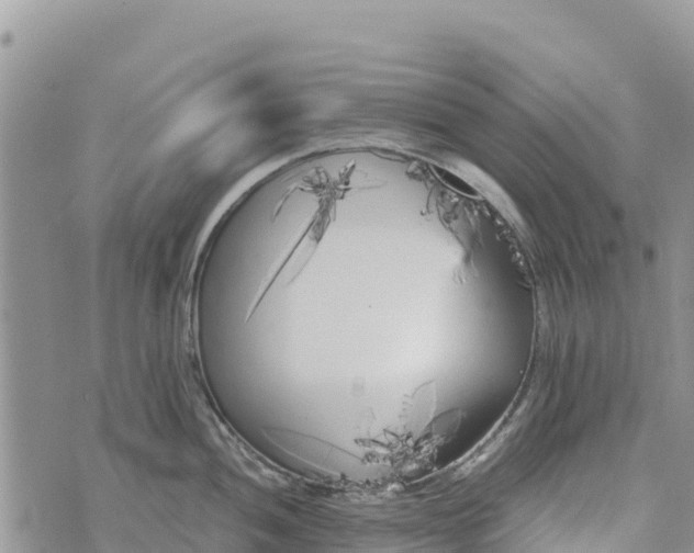 X0000073451052200608111345