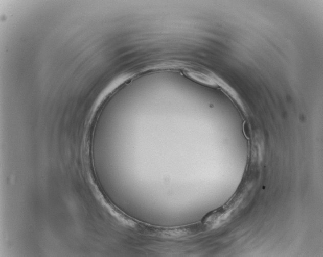 X0000073451053200608111345