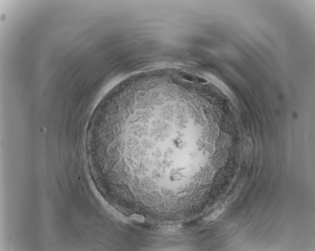 X0000073451055200608111345