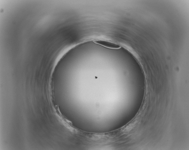 X0000073451056200608111345