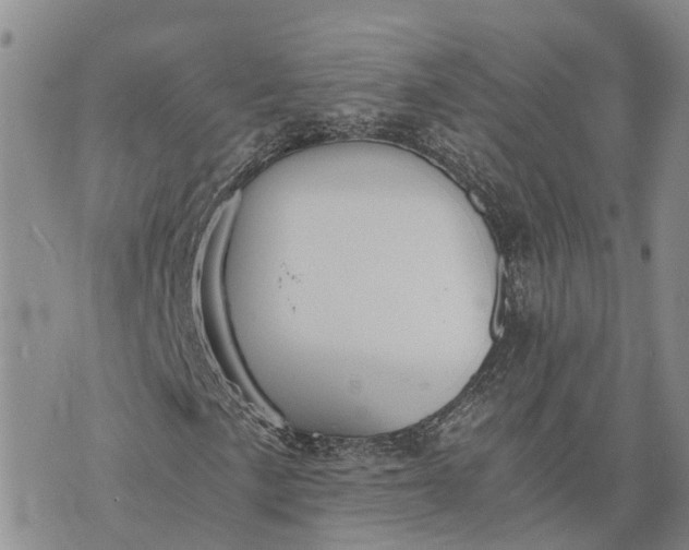 X0000073451057200608111345