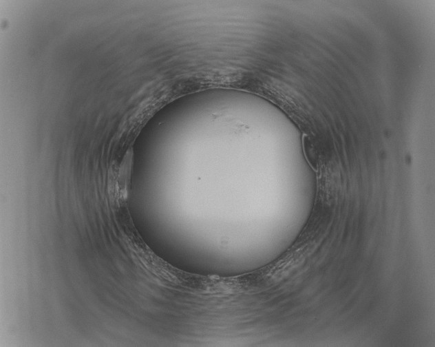 X0000073451058200608111345