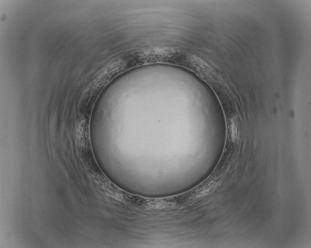 X0000073451059200608111345