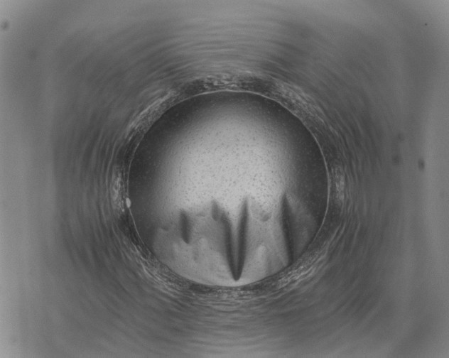 X0000073451060200608111344