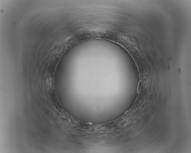 X0000073451061200608111344