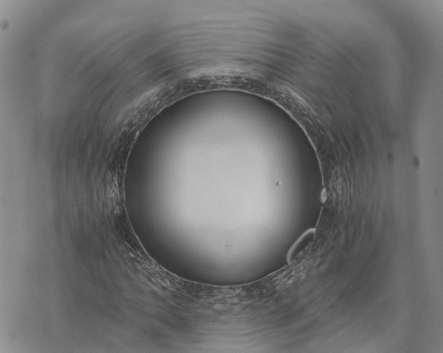 X0000073451062200608111344