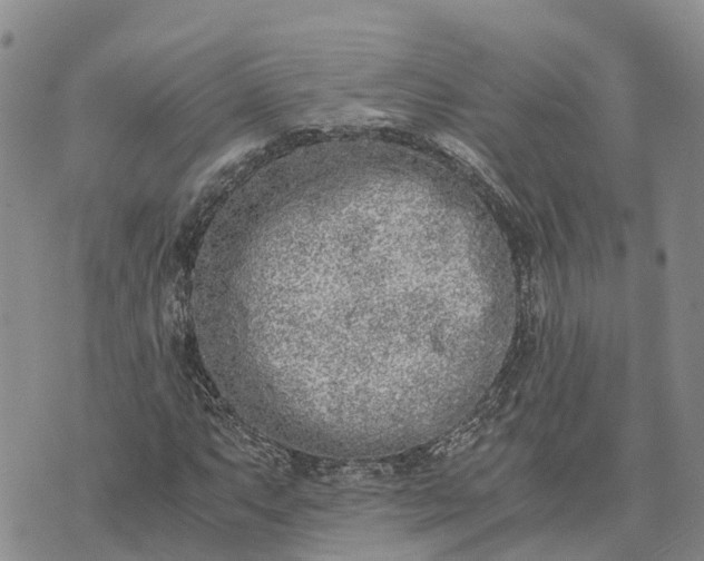 X0000073451063200608111344