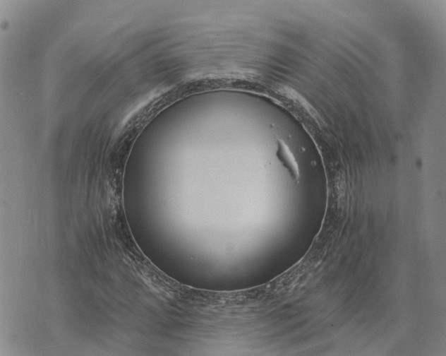 X0000073451064200608111344