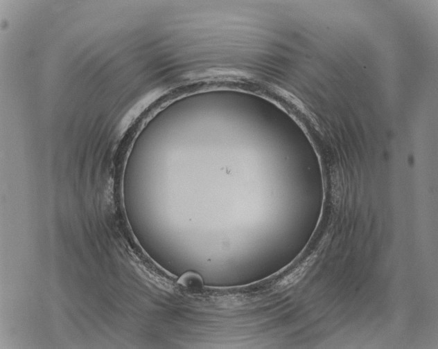 X0000073451066200608111344