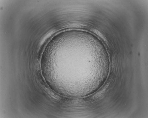 X0000073451067200608111344