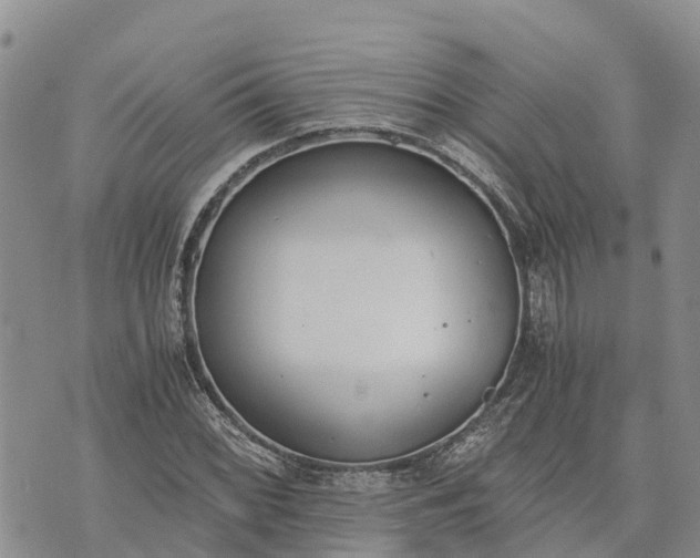 X0000073451068200608111344