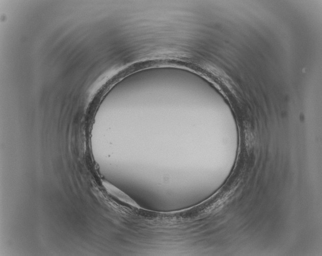 X0000073451069200608111344