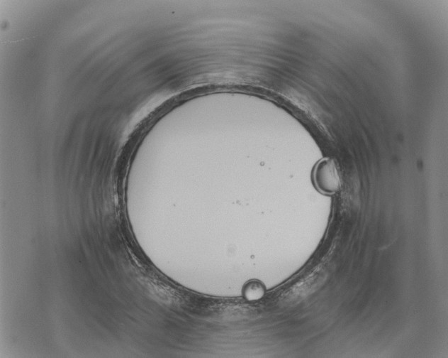 X0000073451070200608111344