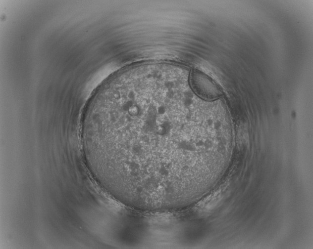 X0000073451071200608111344