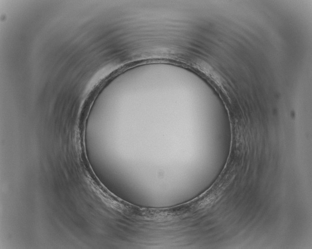 X0000073451072200608111344